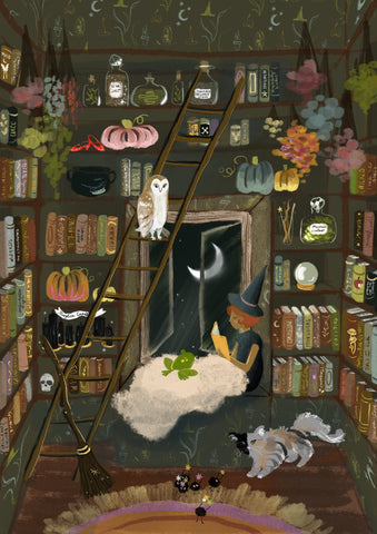 Little Witch Library