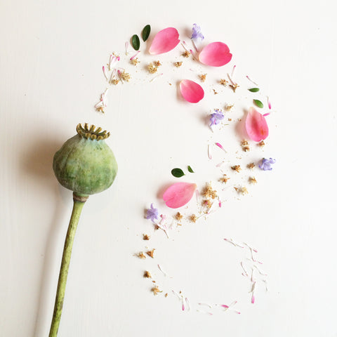 Poppy Wand