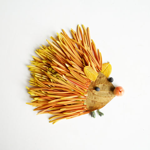 Hedgehog
