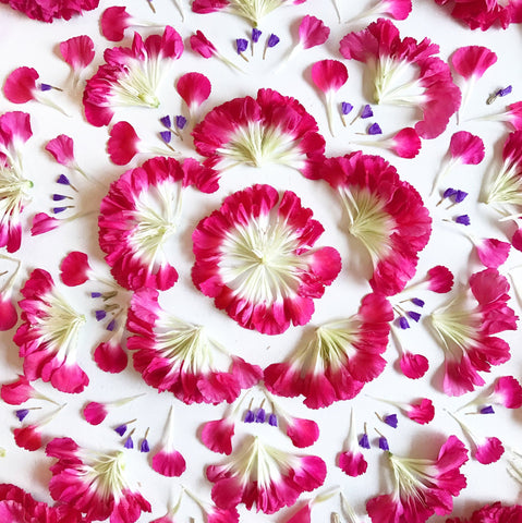 Pink Pattern