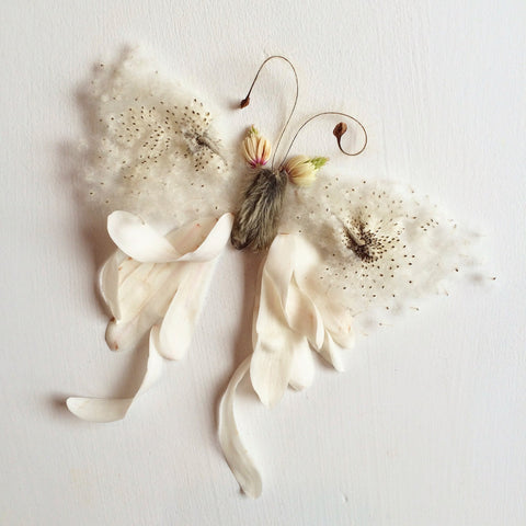 White Luna Moth