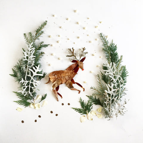 Stag