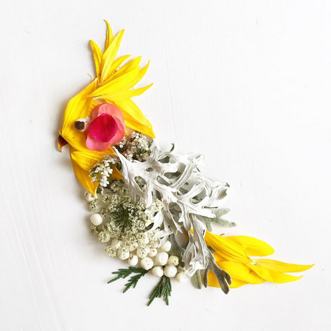 Cockatiel