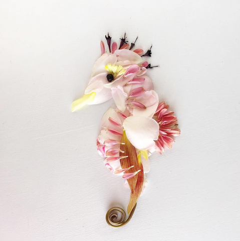 Seahorse