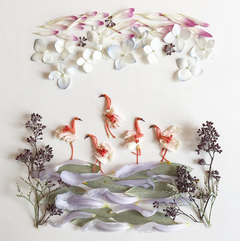 Flamingo Flock