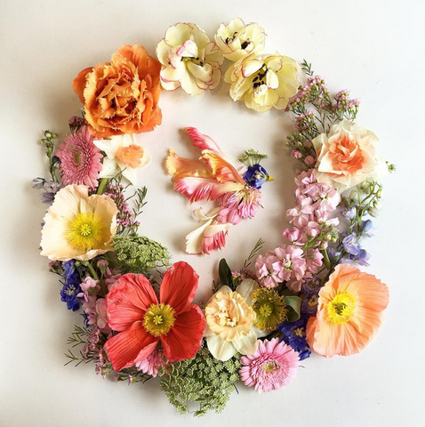 The Floret Bird