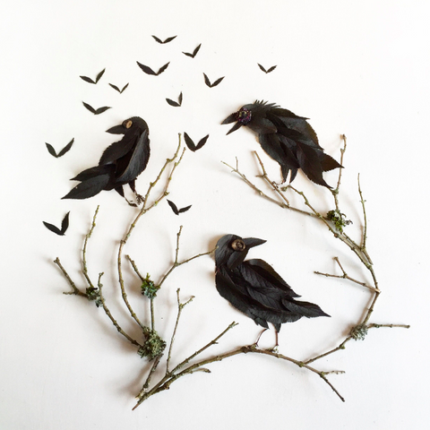 Murder of Crows