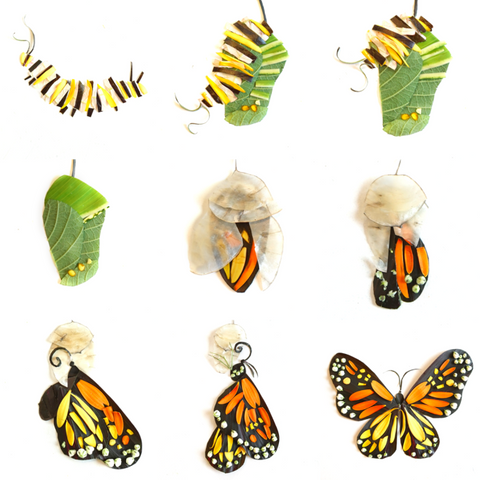 Monarch