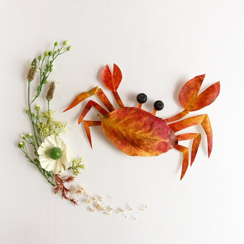 Crab