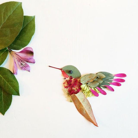 Hummingbird