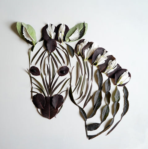 Copy of Zebra