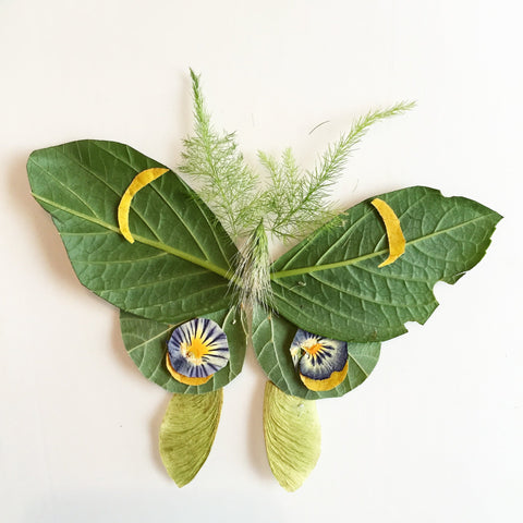 Green Luna Moth