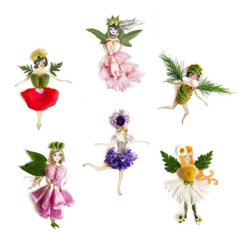 Flower Fairies